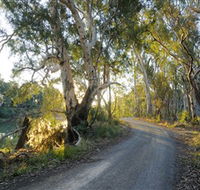 Alton Gallery - Echuca Moama Artists - Accommodation Newcastle