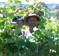 Wimmera Hills Winery - Accommodation Newcastle