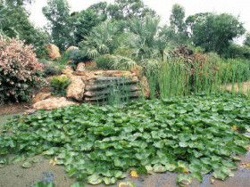 Mackenzie Park - Accommodation Newcastle 0