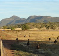 Emu Logic - Accommodation Newcastle