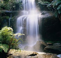 Mount Buangor State Park - Accommodation Newcastle