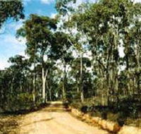 Paddys Ranges State Park - Accommodation Newcastle