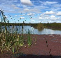 Gwydir Wetlands - Accommodation Newcastle