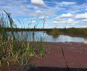 Gwydir Wetlands - Accommodation Newcastle 0
