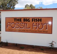 Big Fish Fossil Hut at Peak Hill - Accommodation Newcastle