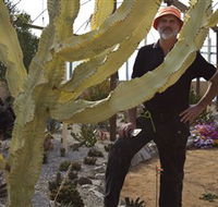 Cactus Country - Accommodation Newcastle