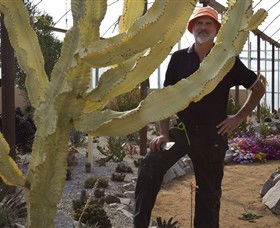 Cactus Country - Accommodation Newcastle 0
