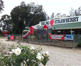 The Big Strawberry - Accommodation Newcastle 0