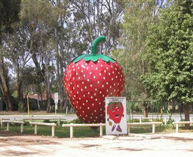 The Big Strawberry - Accommodation Newcastle 1
