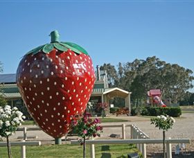 The Big Strawberry - Accommodation Newcastle 2