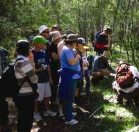 Warrumbungle National Park Discovery Program - Accommodation Newcastle