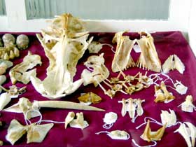 Sarina District Historical Centre - Accommodation Newcastle 3