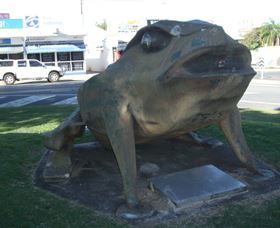 Big Cane Toad - Accommodation Newcastle 0