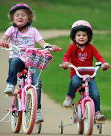 Tracker Riley Cycleway - Accommodation Newcastle 1