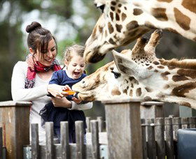 Taronga Western Plains Zoo, Dubbo - Accommodation Newcastle 0