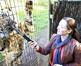 Taronga Western Plains Zoo, Dubbo - Accommodation Newcastle 3