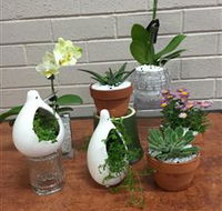 Cobram Florist - Accommodation Newcastle
