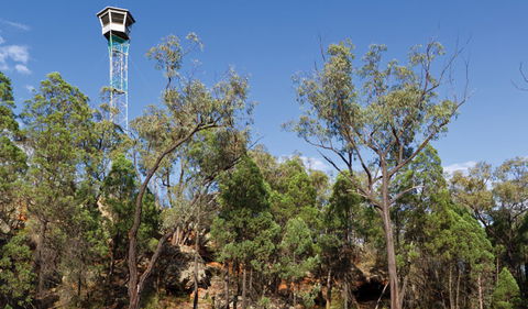 Salt Caves Picnic Area - Accommodation Newcastle 2