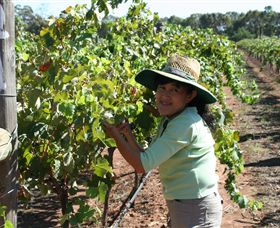 Domaine Asmara - Accommodation Newcastle 6