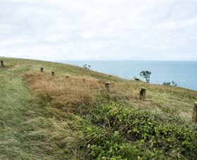 Cape Palmerston National Park - Accommodation Newcastle 3