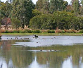 Cussen Park - Accommodation Newcastle 0