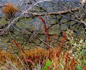 Cussen Park - Accommodation Newcastle 1