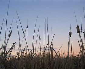 Cussen Park - Accommodation Newcastle 3