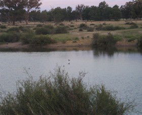 Savernake Day Tours - Accommodation Newcastle 7