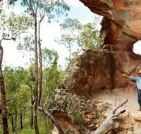 Pilliga National Park - Accommodation Newcastle