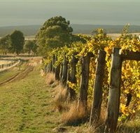 Captains Creek Organic Wines - Accommodation Newcastle