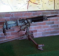 Woodpecker Gun - Accommodation Newcastle
