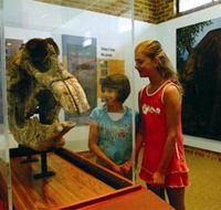 Australian Museum Diprotodon Exhibition - Accommodation Newcastle