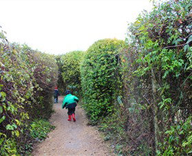 The Tangled Maze & Mistydowns Nursery - Accommodation Newcastle 1