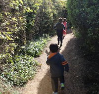 The Tangled Maze  Mistydowns Nursery - Accommodation Newcastle