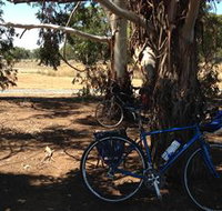 Murchison Rail Trail - Accommodation Newcastle