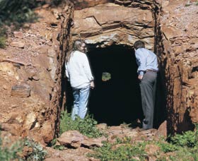 Joker's Tunnel - Accommodation Newcastle 0