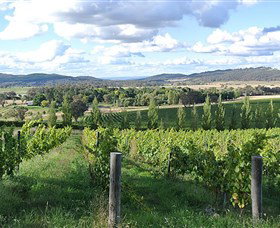 Sassy Wines - Accommodation Newcastle 0