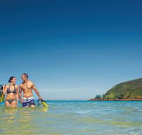 Snorkelling on Keswick Island - Accommodation Newcastle
