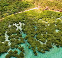 The Singapore Shipwreck Dive Site - Keswick Island - Accommodation Newcastle