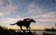 Black Caviar Statue - thumb 0