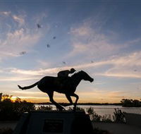 Black Caviar Statue - Accommodation Newcastle