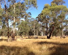 Paramoor Winery - Accommodation Newcastle 4