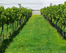 Paramoor Winery - Accommodation Newcastle 6