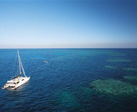 Bait Reef And Garys Lagoon Dive Site - Accommodation Newcastle 0