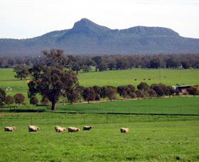 French Park ACT Accommodation Newcastle