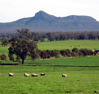 The Rock Nature Reserve - Accommodation Newcastle