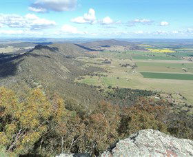 The Rock Nature Reserve - Accommodation Newcastle 3