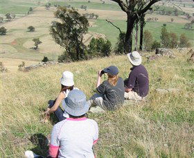 The Rock Nature Reserve - Accommodation Newcastle 2