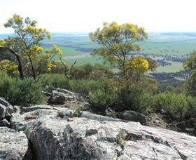 The Rock Nature Reserve - Accommodation Newcastle 6
