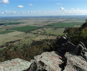 The Rock Nature Reserve - Accommodation Newcastle 5